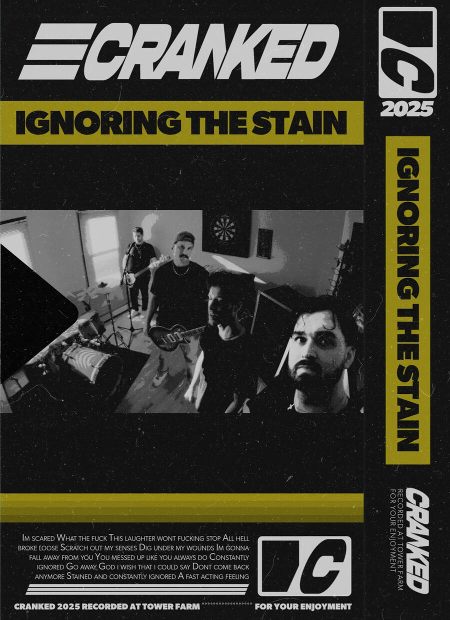 ignoring the stain album art